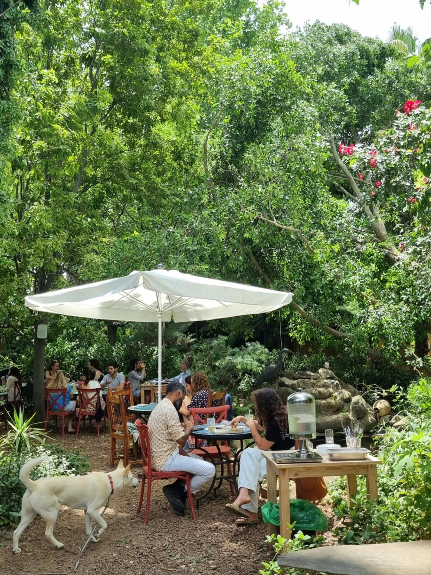 Vitrage Holiday Village And Spa Bet Hillel Extérieur photo